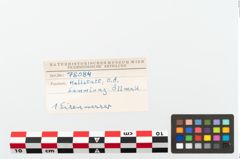 Foto von Eisengriffangelmesser (NHMW-PRAE-078084)